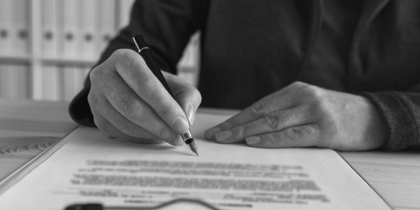 Delitos Contra Administración Pública / Justicia Buenavista del Norte · Tráfico de Influencias
