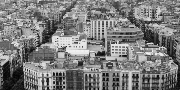 Delitos Contra la Propiedad / Urbanísticos en Islas Canarias · Parcelación en Suelo No Edificable